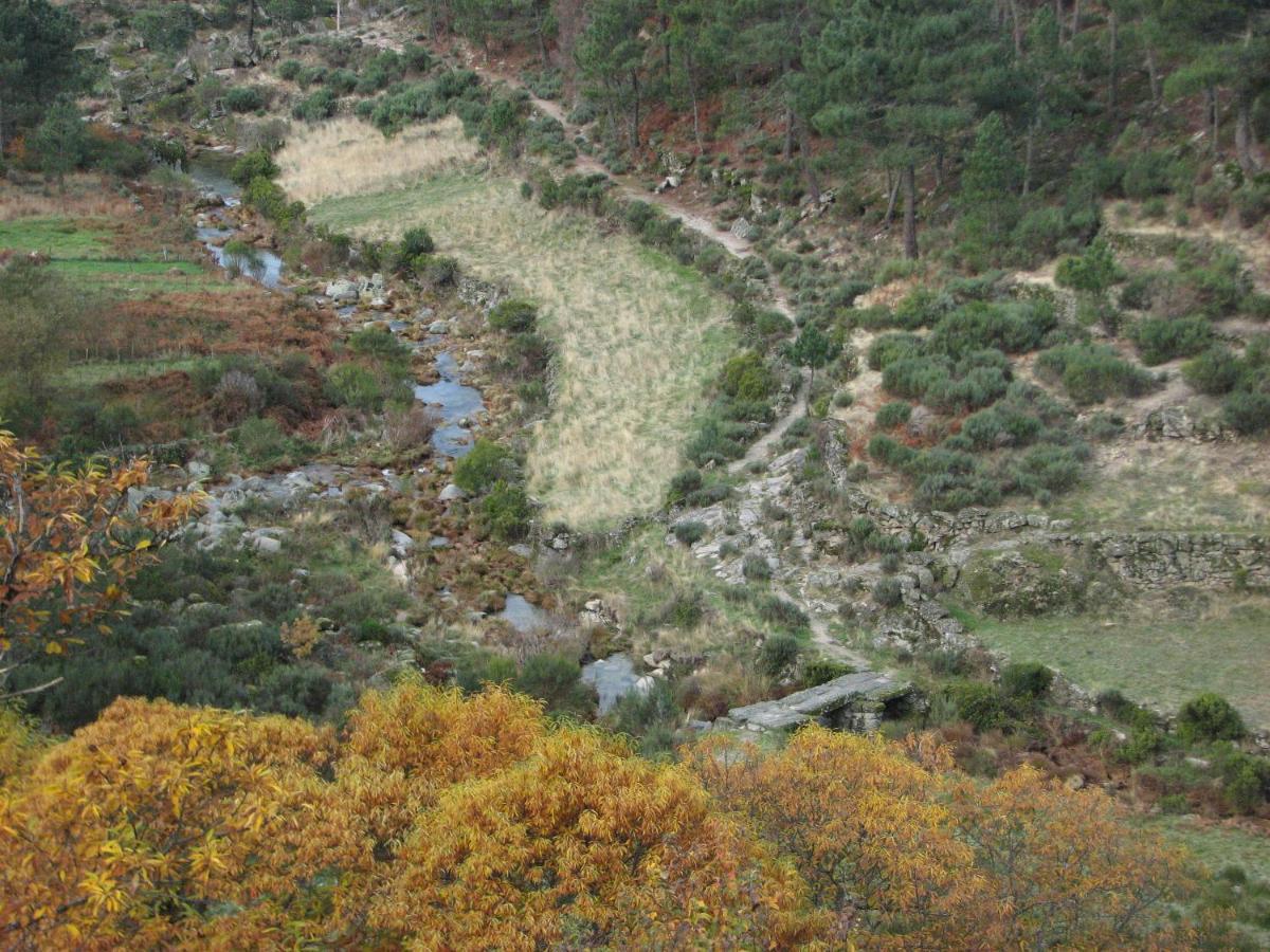 Sambuc'Asa - Serra Da Estrela 萨布盖鲁 外观 照片