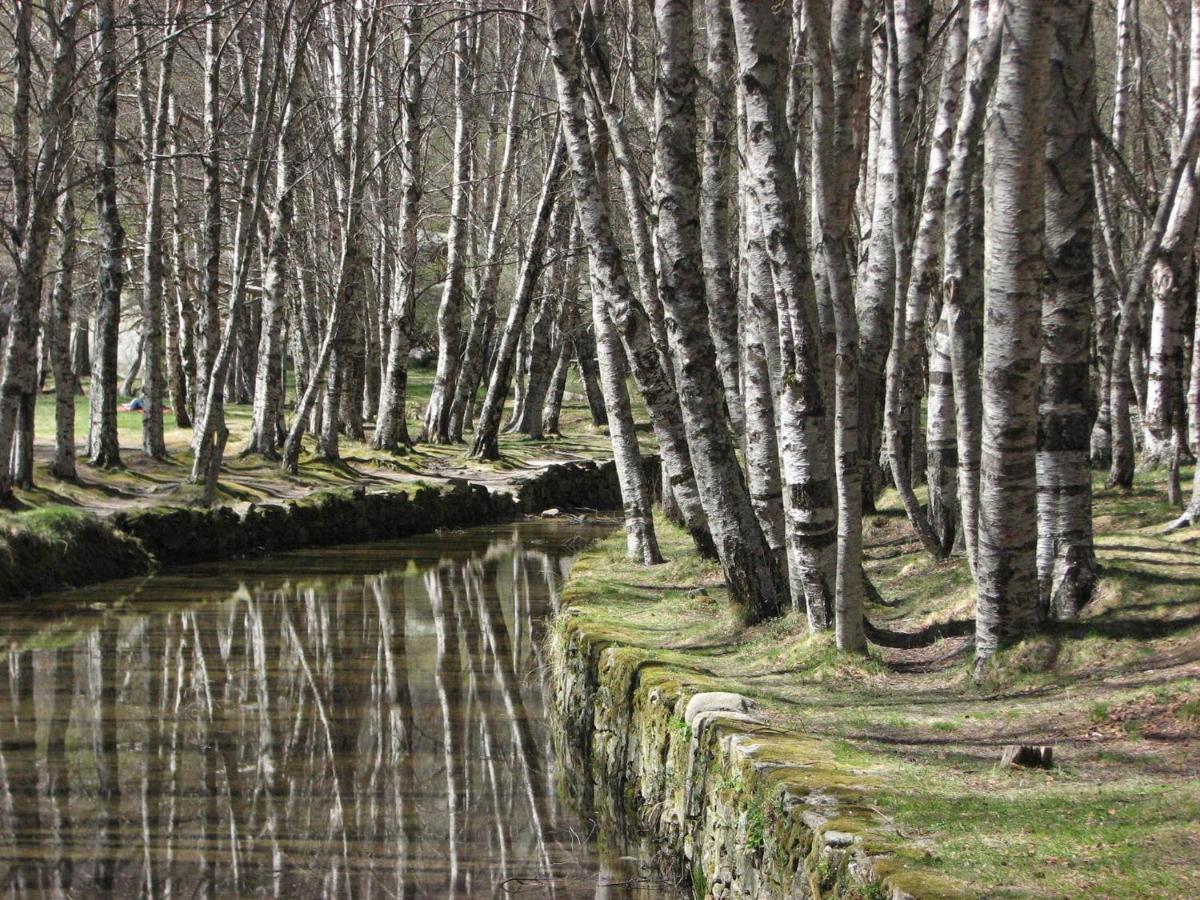 Sambuc'Asa - Serra Da Estrela 萨布盖鲁 外观 照片